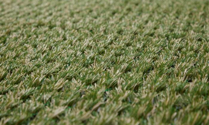 Gress hybrid 1 x 1 meter - Garden